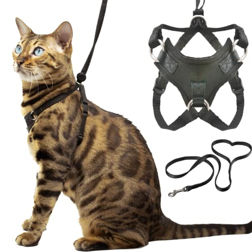 Best Harness for Bengal Cats: Top Escape-Proof, Comfortable Options Reviewed