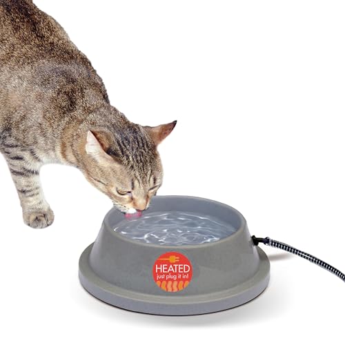 Best Heated Water Bowl for Cats to Keep Water Thaw-Free Outdoors