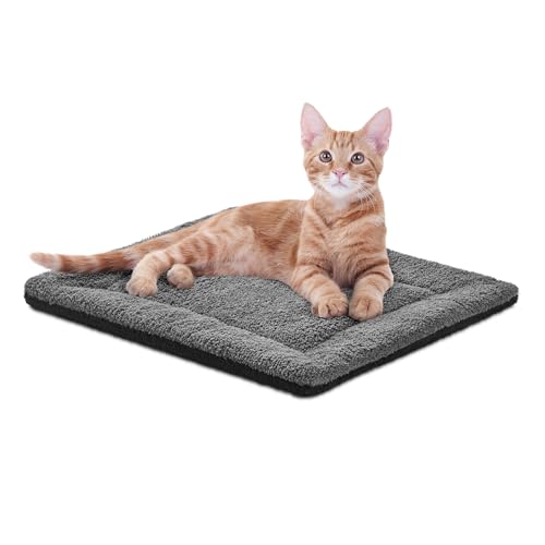 Best Heating Pad for Cats: Top Cozy and Safe Warming Pads Reviewed