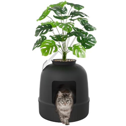 Best Hidden Cat Litter Box