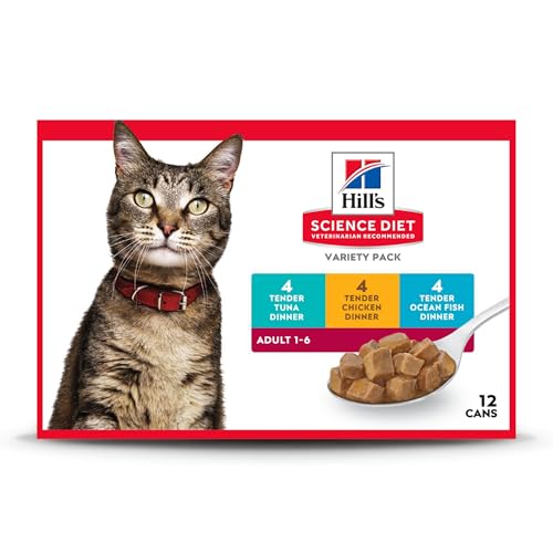 Best Hill'S Cat Food