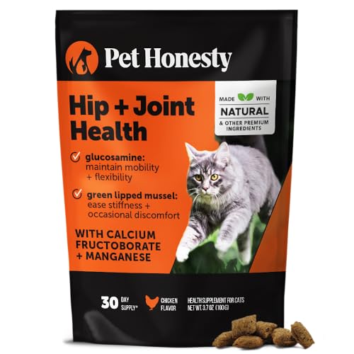 Best Hip And Joint Supplement for Cats to Boost Mobility and Comfort