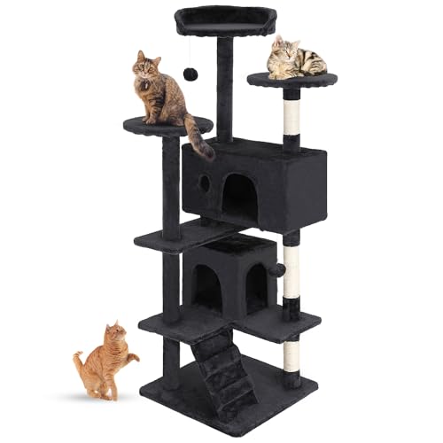 Best House Cats to Have: Top Indoor Cat Houses and Play Towers