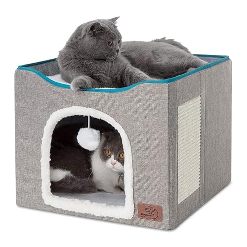 Best House Cats to Own: Top Cozy Beds and Shelters for Indoor Cats