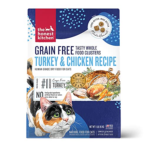 Best Human Grade Cat Food for Healthy, Happy, and Nourished Cats