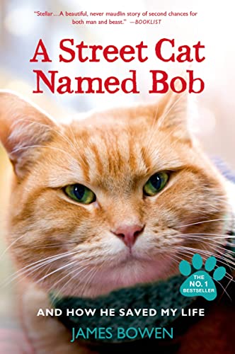 Best Human Names for Cats: Unique Ideas to Personalize Your Feline Friend