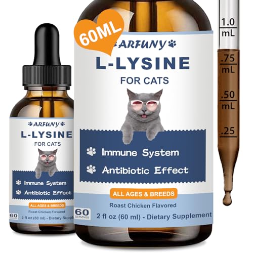 Best Immune Support for Cats: Top Supplements for Health and Vitality
