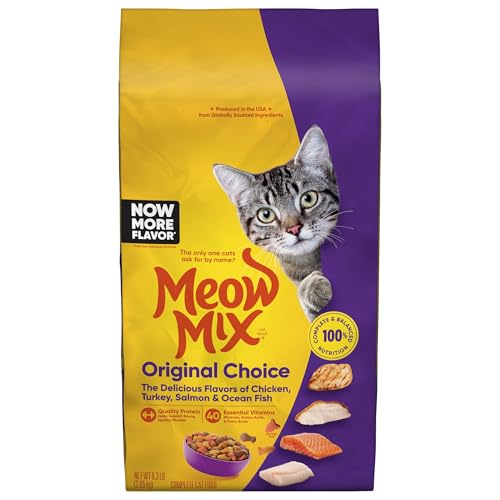 Best Inexpensive Dry Cat Food