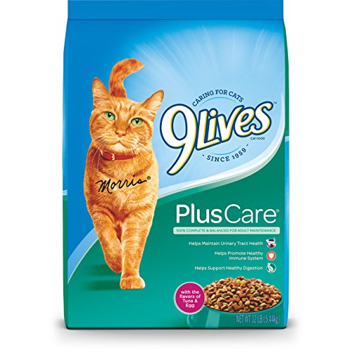 Best Inexpensive Outdoor Cat Food Options for Healthy Feline Nutrition