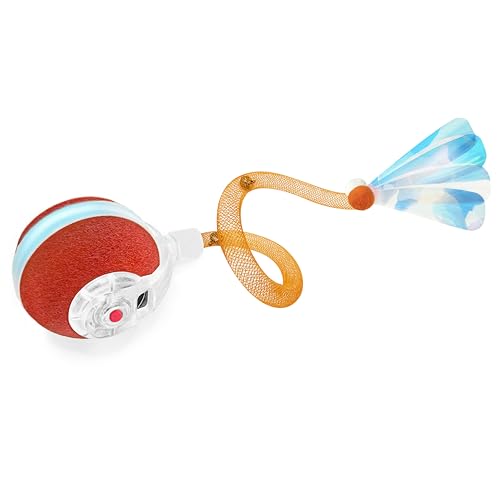 Best Interactive Cat Toys for Bored Cats to Boost Indoor Playtime