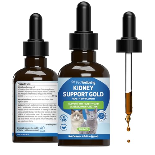 Best Kidney Supplements for Cats