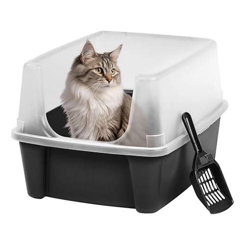 Best Litter Box for High Spraying Cats: Top Odor-Free Solutions