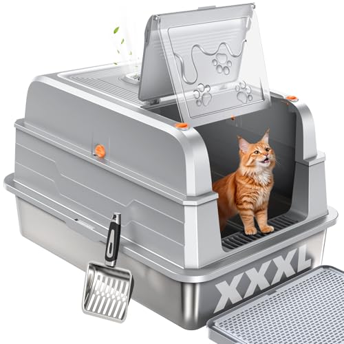 Best Litter Box for Maine Coon Cats: XXL Stainless Steel Solutions