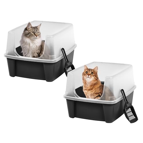 Best Litter Box for Multiple Large Cats: Top Durable & Easy-Clean Picks