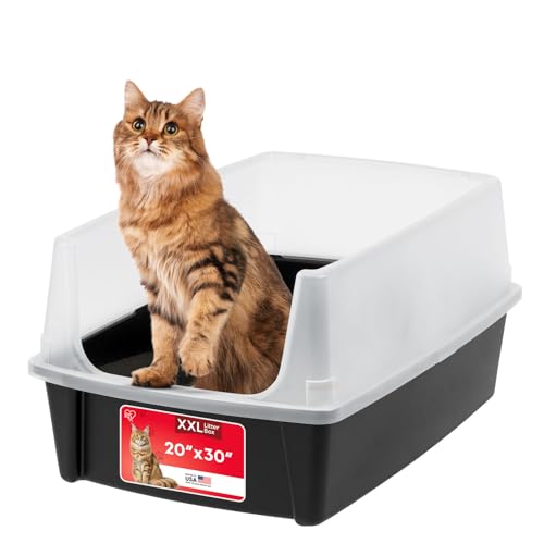 Best Litter Box for Ragdoll Cats: Top XL Choices for Big Cats