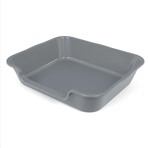 Best Litter Box for Senior Cats: Easy-Access and Jumbo Size Options