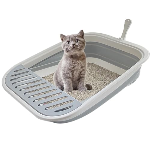 Best Litter Box for Small Cats: Top Compact and Easy-Clean Picks