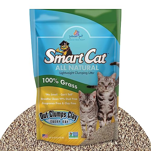 Best Litter for Long Hair Cats: Top Picks for Odor Control & Clumping
