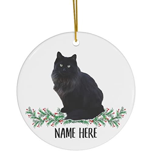 Best Maine Coon Cat Names Inspired by Unique Holiday Decorations