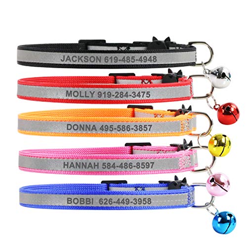 Best Male Orange Cat Names for Unique Personalized Cat Collars
