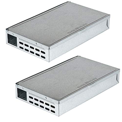 Best Mouse Catching Cat Breed for Effective Pest Control at Home