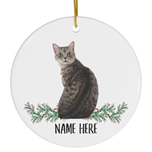 Best Names for a Grey Cat