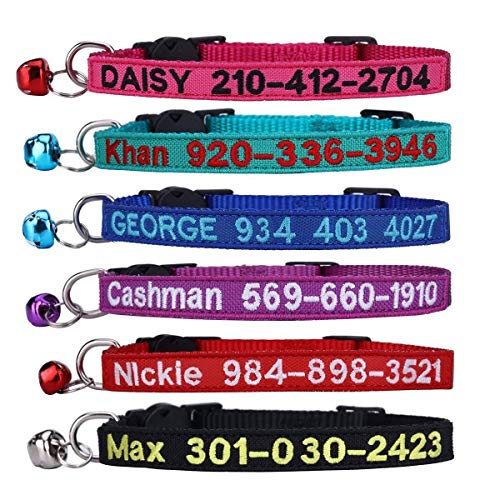 Best Names for Male Cat Collars: Personalized ID Tags & Safety Features