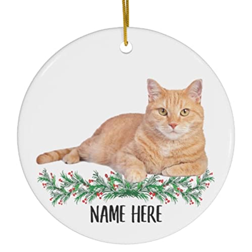 Best Names for Tabby Cats