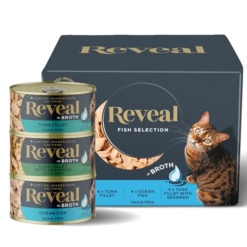 Best Natural Canned Cat Food
