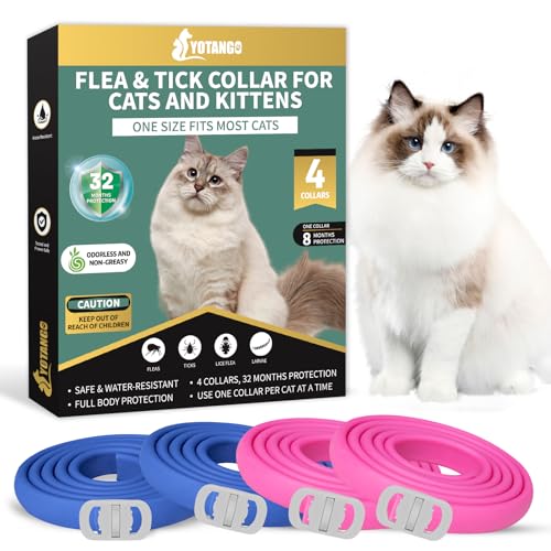 Best Natural Flea Collar for Cats: Top Effective Flea & Tick Solutions