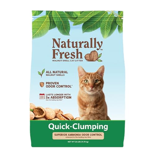 Best Natural Litter for Cats: Top Eco-Friendly Choices for Easy Scooping