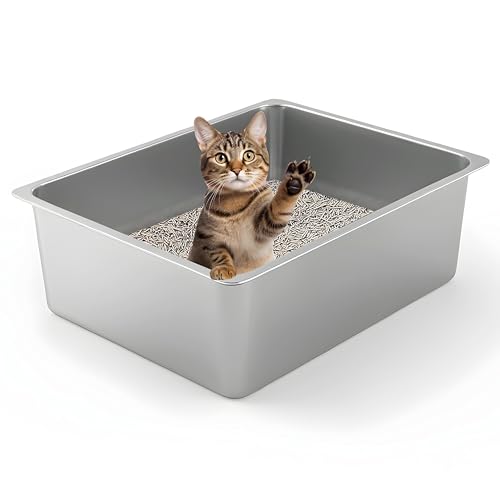 Best No Smell Cat Litter Box for Odor-Free and Easy Cleaning Solutions