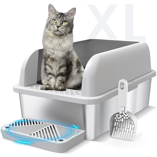 Best Non Smelling Cat Litter Box for Odor-Free, Easy Cleaning Experience