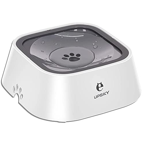 Best Non Spill Water Bowl for Cats: Top Mess-Free Feeding Solutions