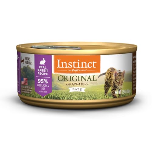 Best Novel Protein Cat Food for Sensitive Stomachs and High Nutrition