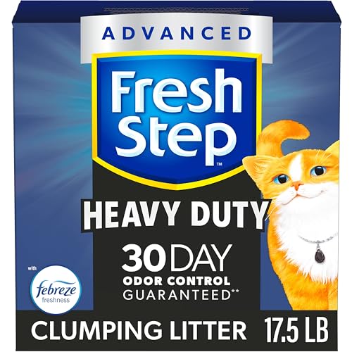 Best Odor Control Clumping Cat Litter for Long-Lasting Freshness