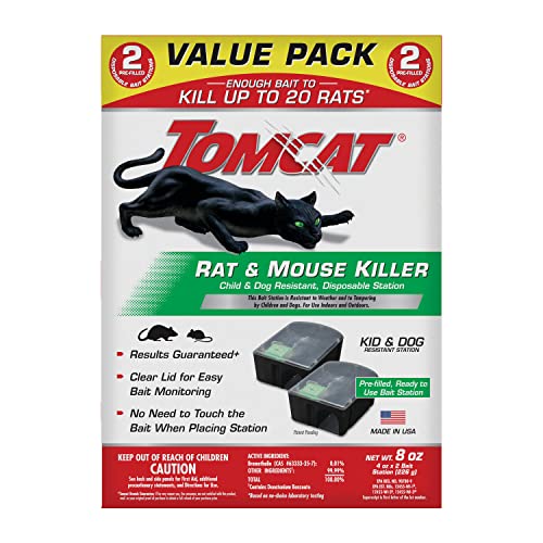 Best Outdoor Cats for Mice: Top Rodent Control Solutions Reviewed