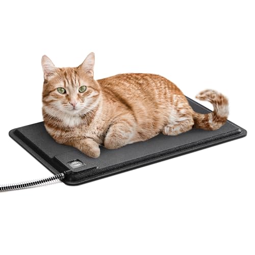 Best Outdoor Heated Cat Beds for Cozy and Warm Pet Comfort