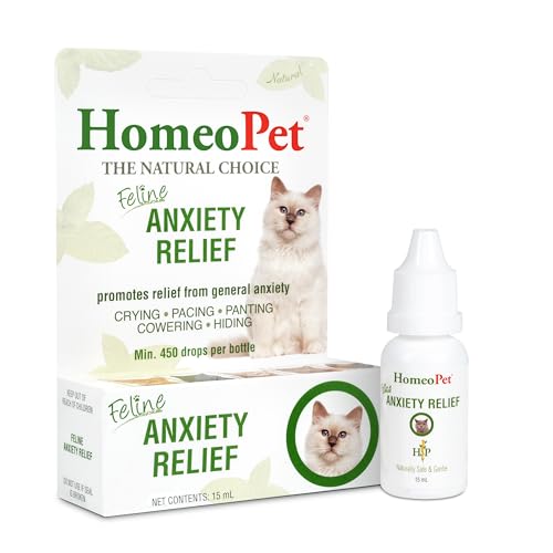 Best Over the Counter Cat Anxiety Medication for Calm and Happy Cats