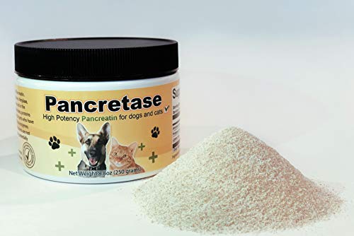 Best Pancreatic Enzymes for Cats to Boost Digestion and Health