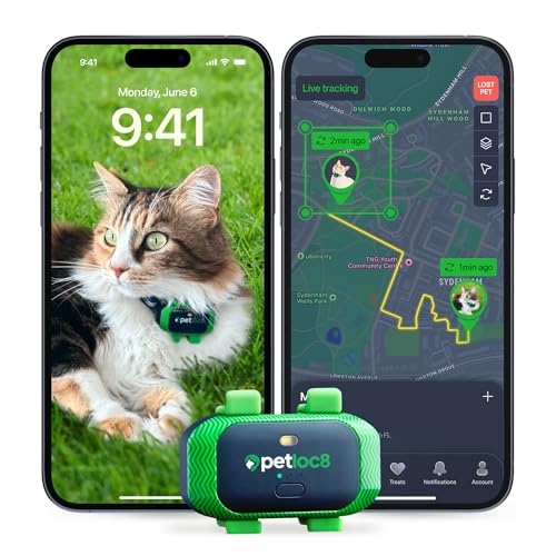 Best Pet Sitting Apps for Cats with GPS Tracker and Smart Alerts