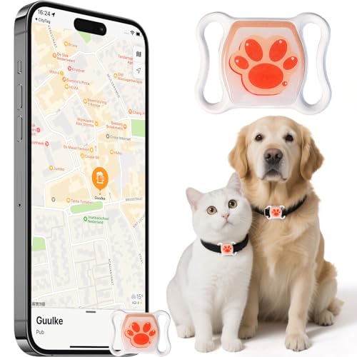 Best Pet Tracker for Cats