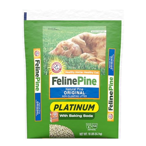 Best Pine Litter for Cats: Top Natural, Odor-Control, Low-Dust Choices
