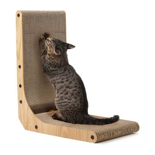 Best Places to Scratch a Cat: Top Indoor Scratchers for Happy Cats