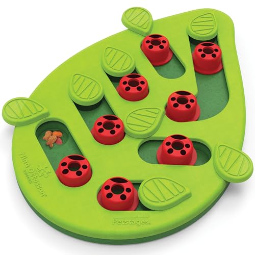 Best Puzzle Feeders for Cats to Boost Playtime and Mental Stimulation