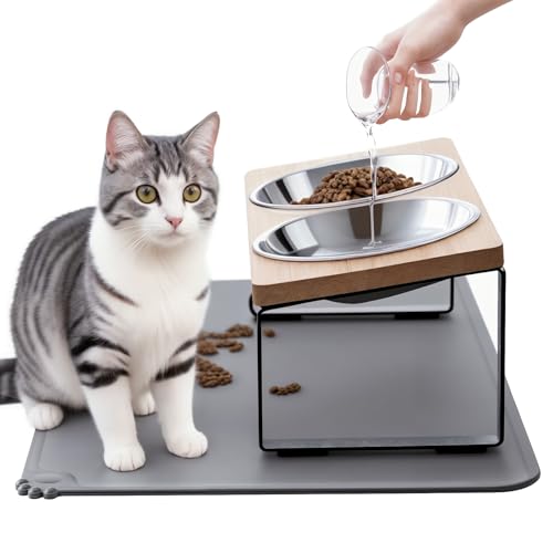 Best Raised Cat Food Bowls