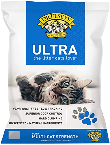 Best Rated Clumping Cat Litter for Odor Control and Easy Cleaning