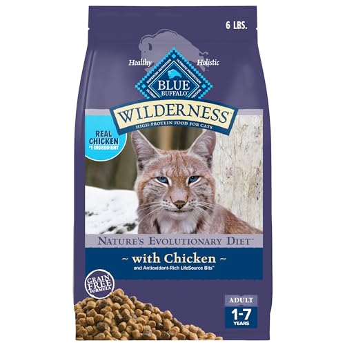 Best Rated Dry Cat Food Brands for Healthy, Happy Adult Cats
