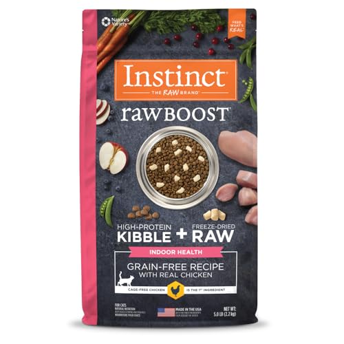 Best Raw Cat Food for Indoor Cats