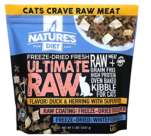 Best Raw Diet for Cats: Top Grain-Free Freeze-Dried Foods Reviewed